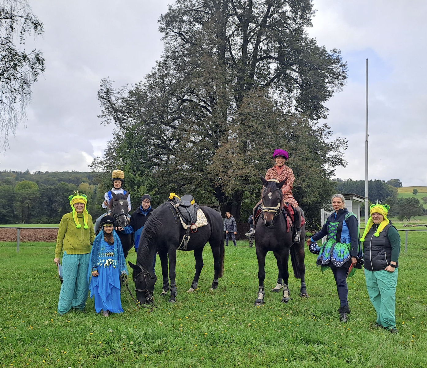 Bildschirmfoto 2024 10 07 um 14.08.29