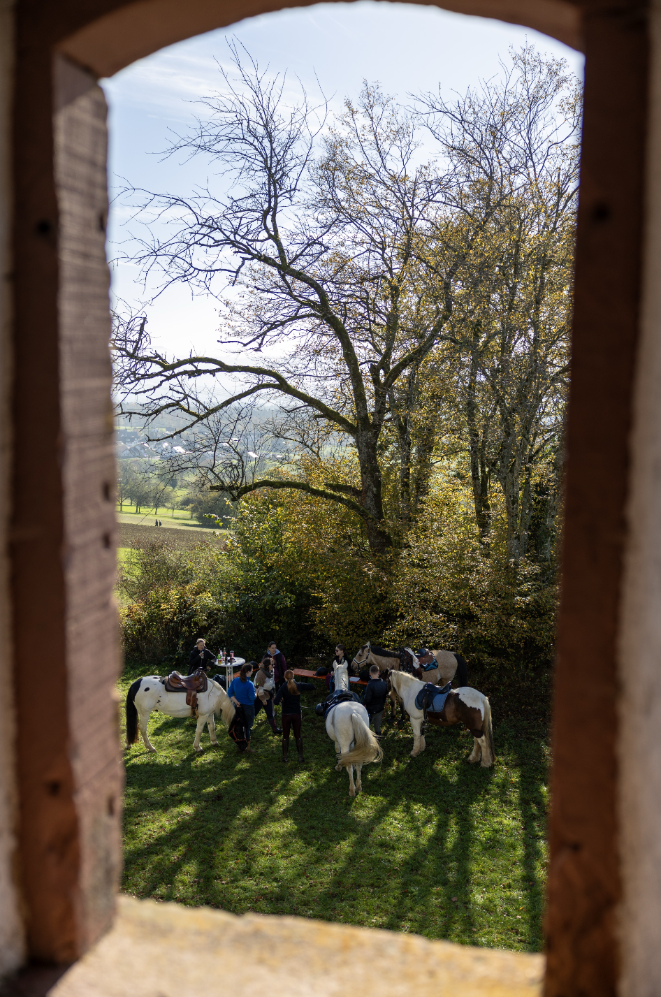 Bildschirmfoto 2024 11 22 um 11.16.13