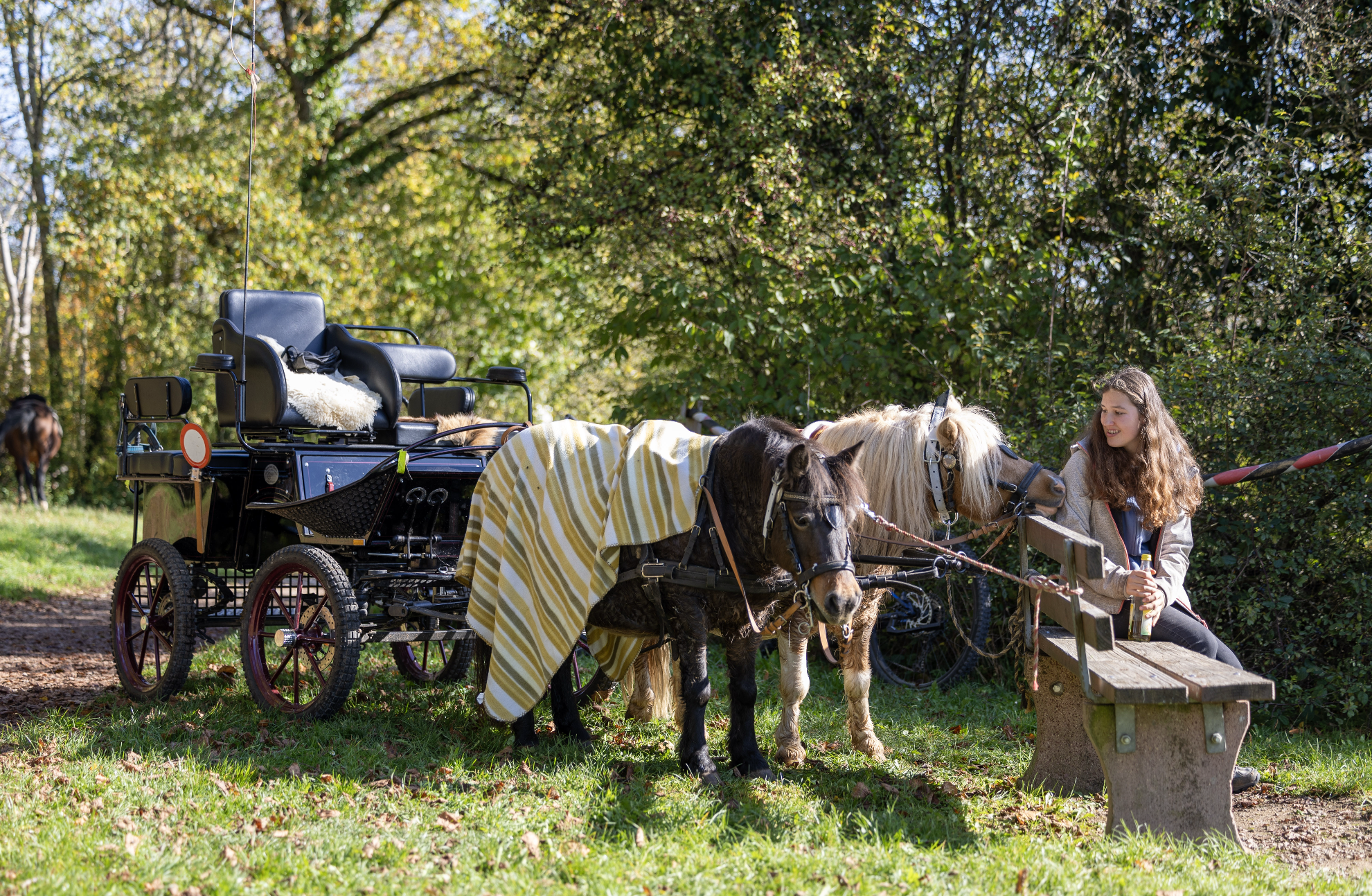 Bildschirmfoto 2024 11 22 um 11.16.29