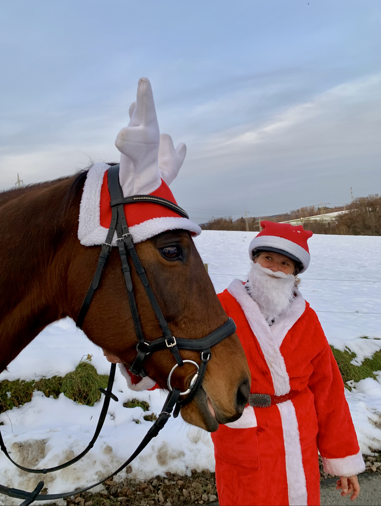 Bildschirmfoto 2024 12 23 um 16.19.12