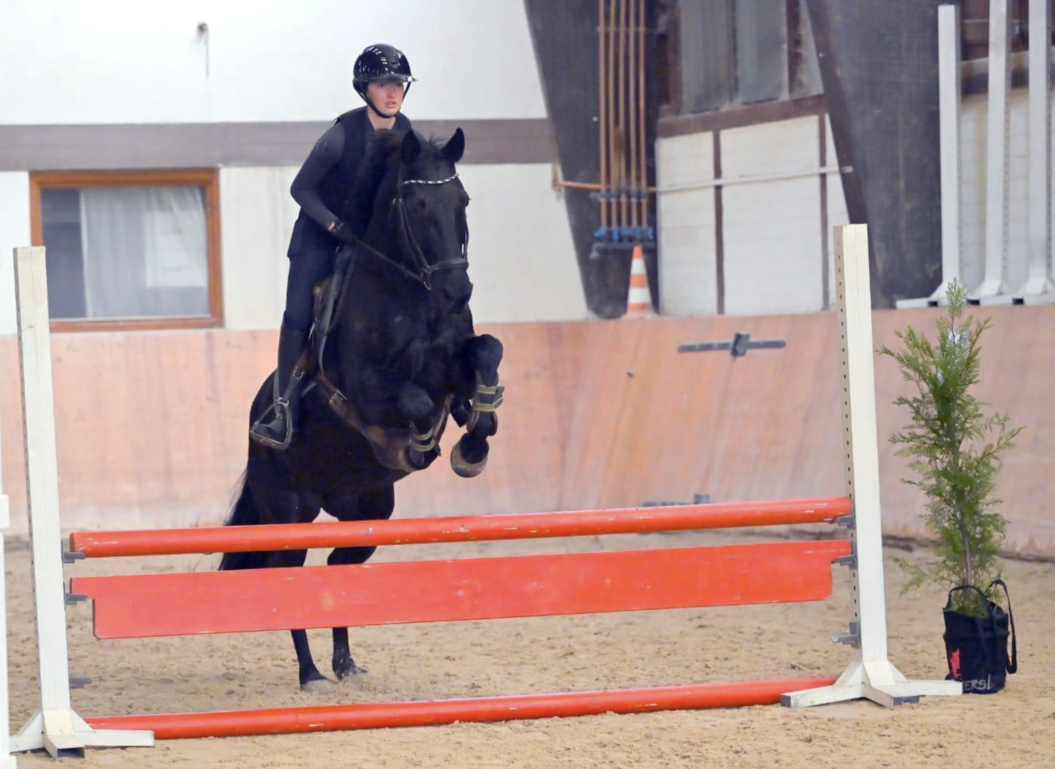 Bildschirmfoto 2025 02 01 um 12.46.49