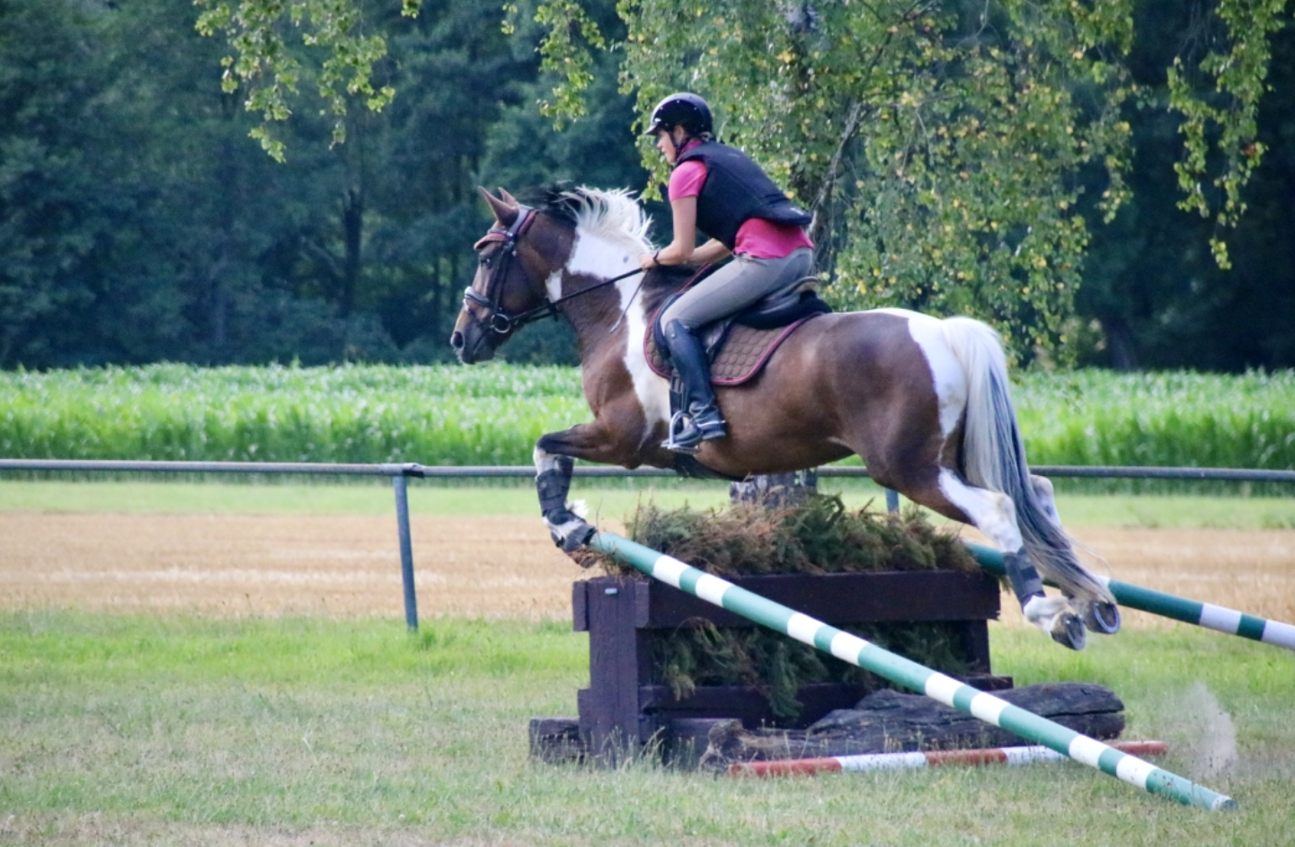 Bildschirmfoto 2025 07 13 um 17.05.37